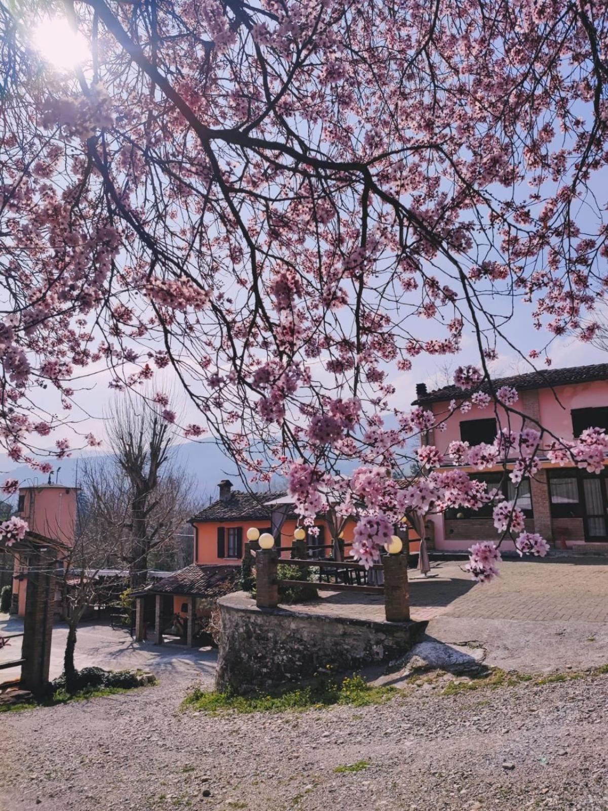 Agriturismo Villa Enrichetta Bettola  Zewnętrze zdjęcie